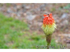 27 Hope Road Weaverville, NC 28787 - Photo 22 of 23 Gallery Image 22