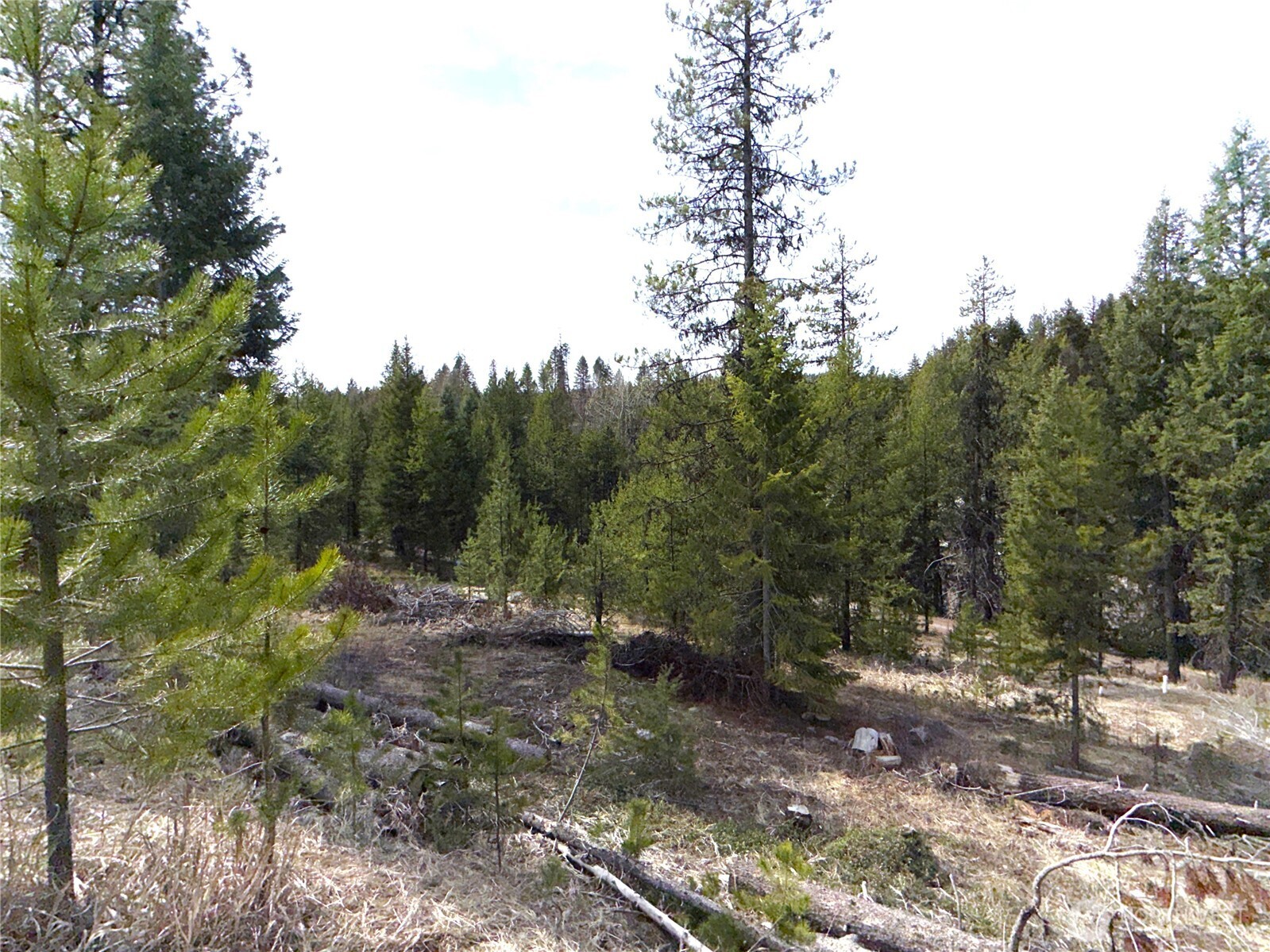 37 Gardner Creek Road Republic, WA 99166 - Photo 17 of 25