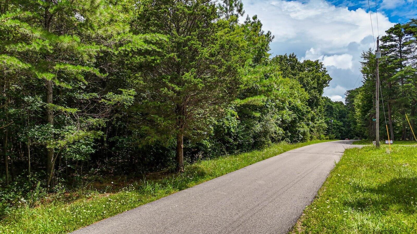 0 Coca-Cola Road Dunlap, TN 37327 - Photo 18 of 20