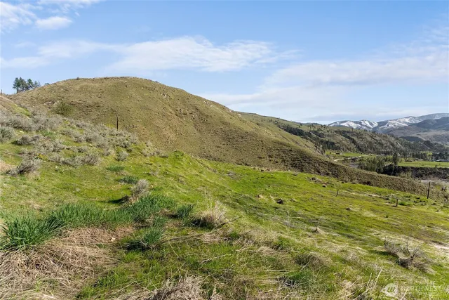 a view of a backyard with wooden fence