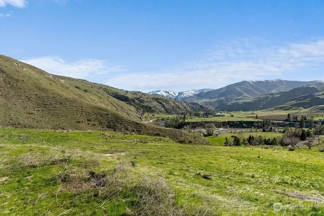 a view of a dry yard with mountains in the background