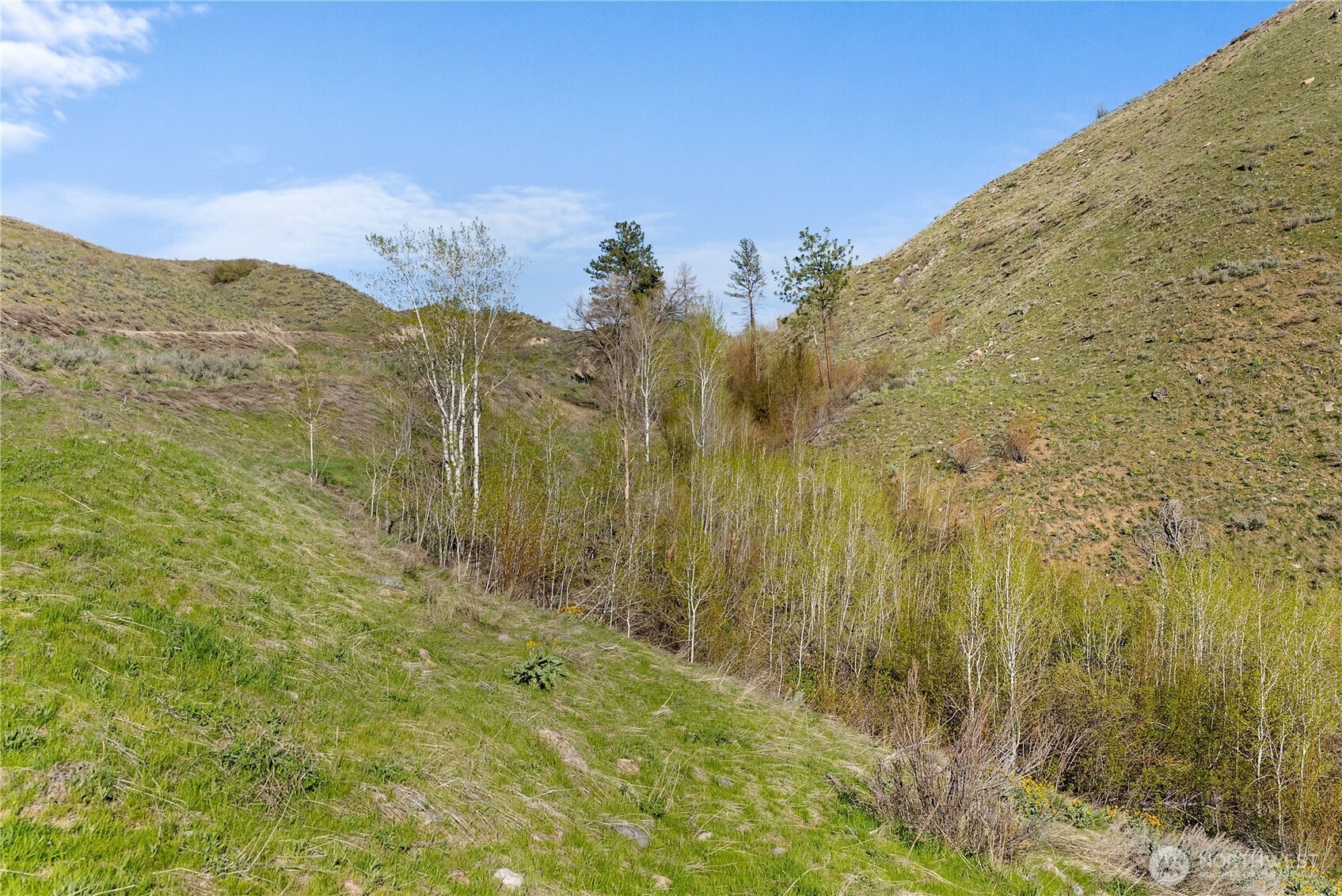 6 Cowboy Road Pateros, WA 98846 - Photo 23 of 38 a view of a dry yard with mountains in the background