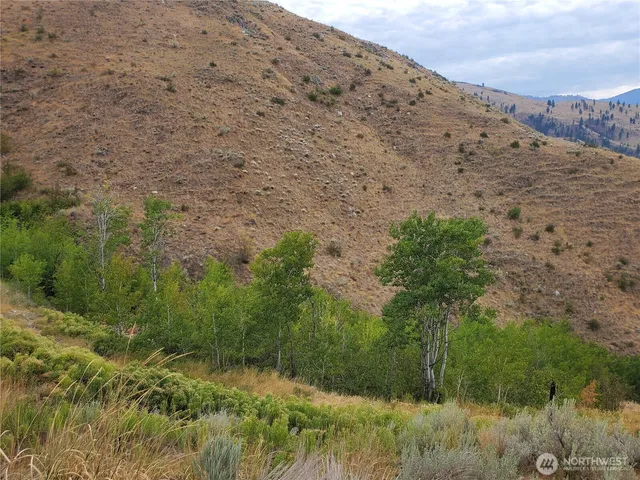 $120,000 | 6 Cowboy Road, Pateros, WA 98846