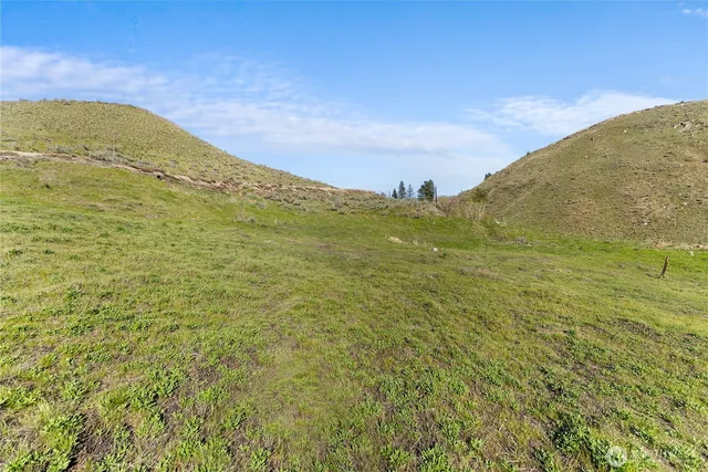 a view of a lush green hillside and mountains