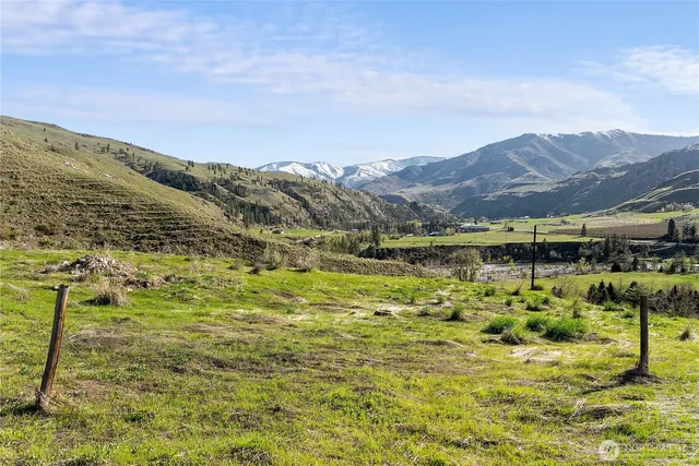 a view of a lush green hillside and houses
