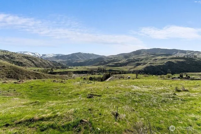 a view of a lush green hillside and houses