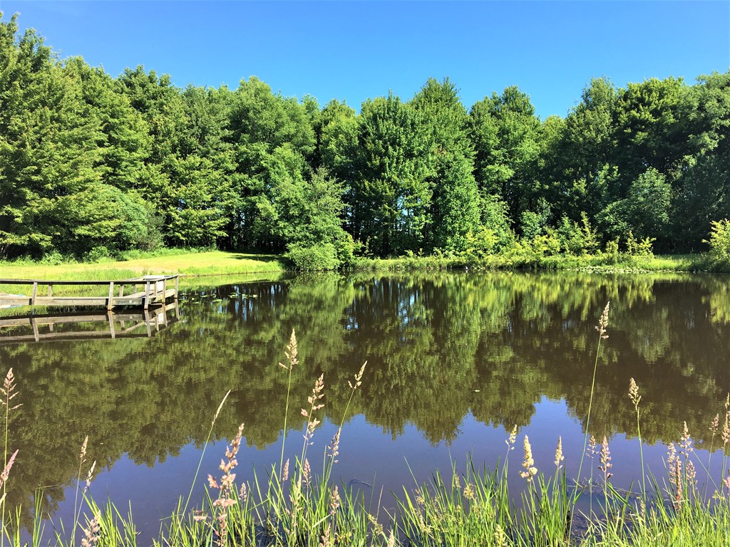 23273 Fry Road Venango, PA 16440 - Photo 16 of 74 a view of a lake from a yard