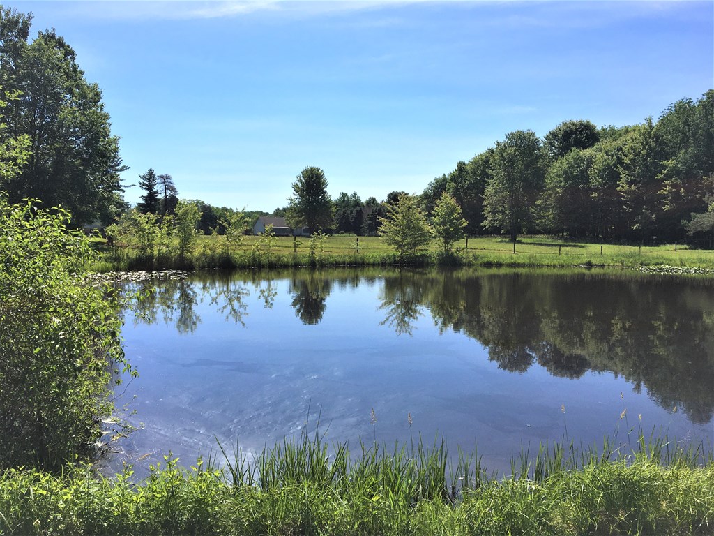 23273 Fry Road Venango, PA 16440 - Photo 20 of 74 a view of a lake with a yard and a large tree
