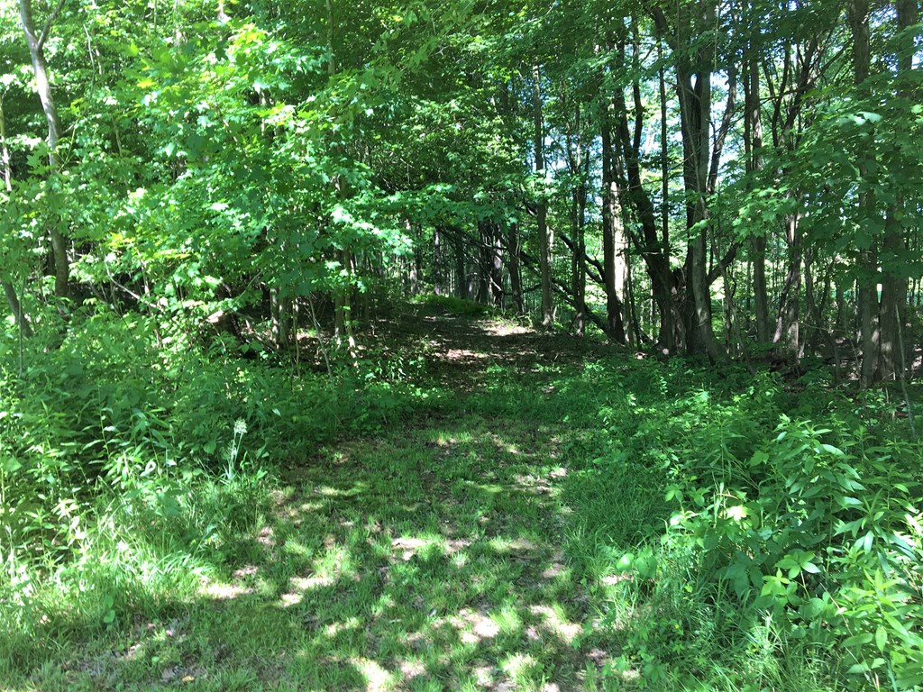 23273 Fry Road Venango, PA 16440 - Photo 22 of 74