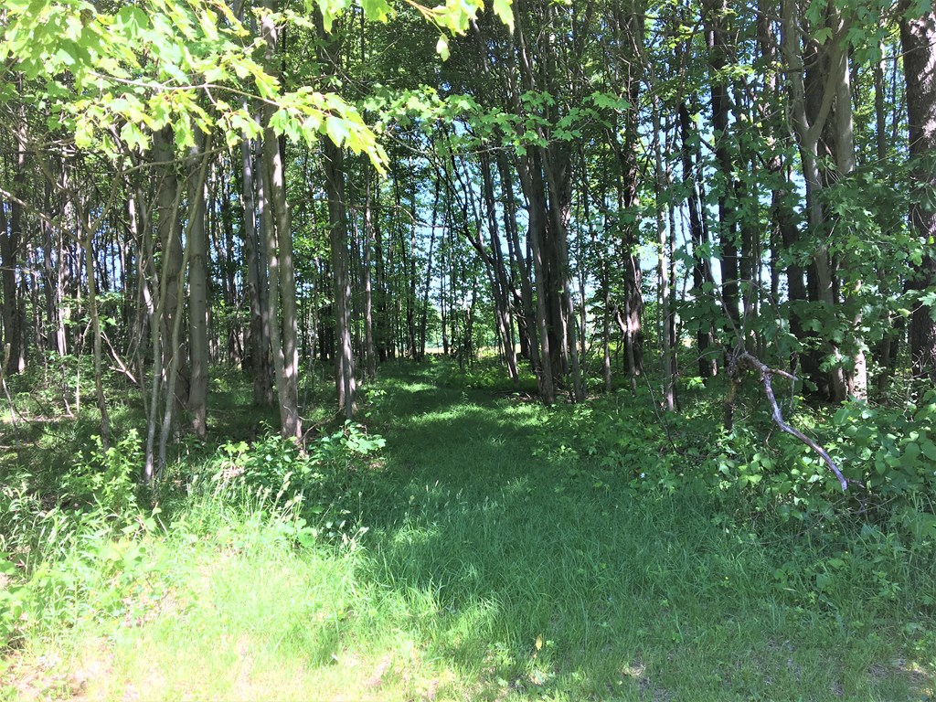 23273 Fry Road Venango, PA 16440 - Photo 23 of 74 a view of outdoor space and trees