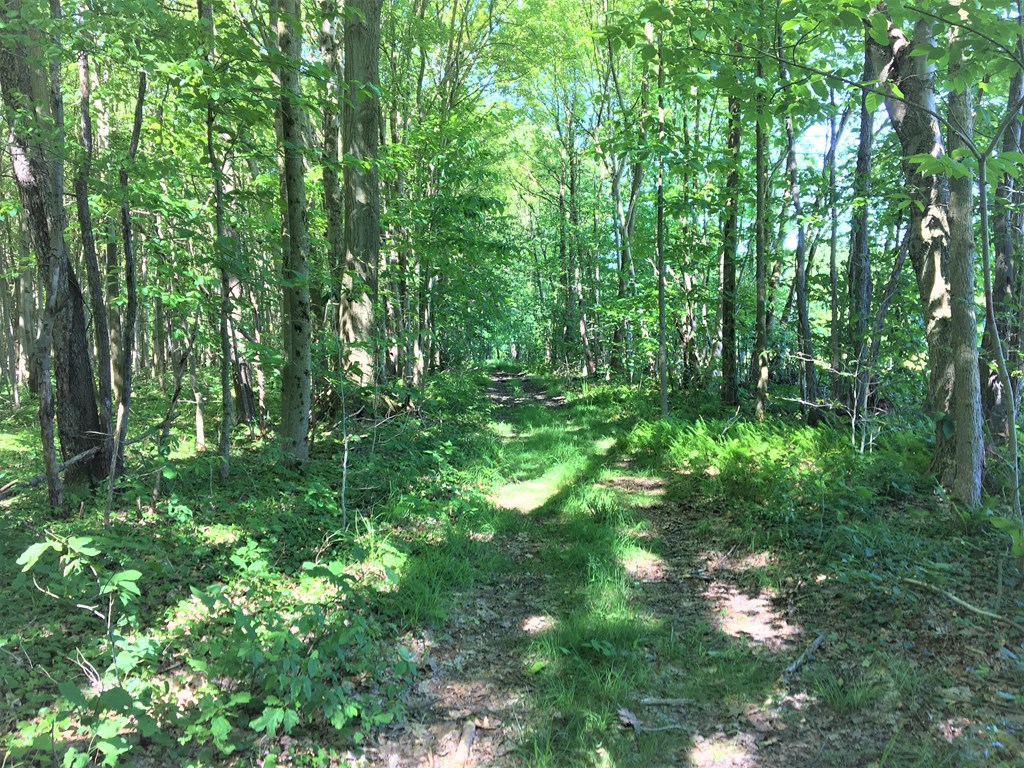 23273 Fry Road Venango, PA 16440 - Photo 24 of 74