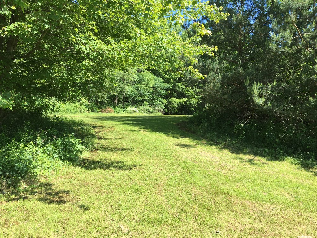 23273 Fry Road Venango, PA 16440 - Photo 25 of 74 a view of yard with green space