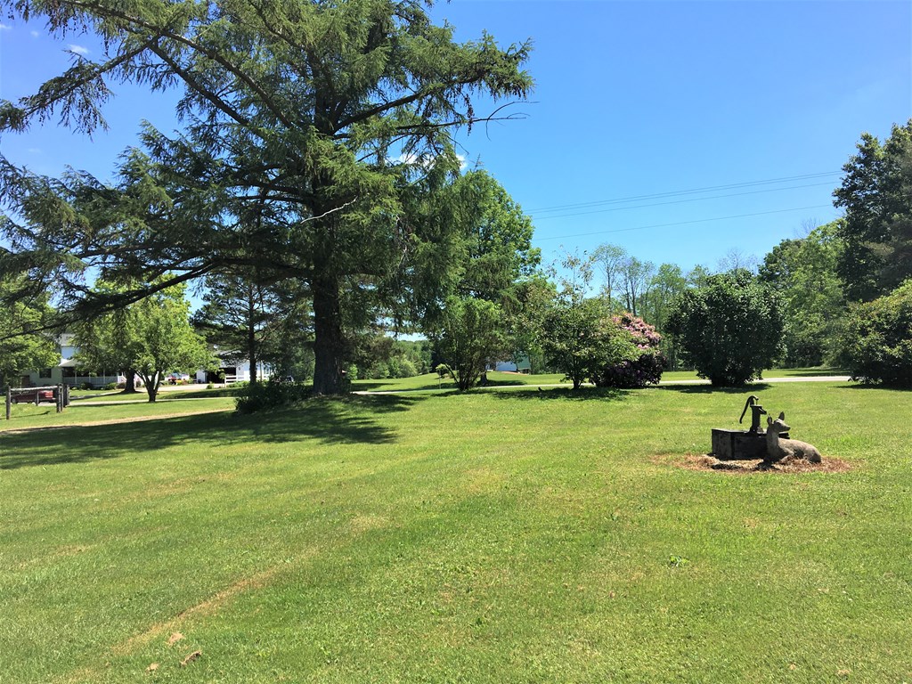 23273 Fry Road Venango, PA 16440 - Photo 66 of 74 a view of a park with large trees