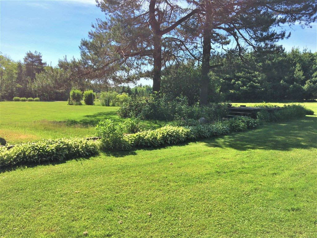 23273 Fry Road Venango, PA 16440 - Photo 7 of 74 a view of a garden with an trees