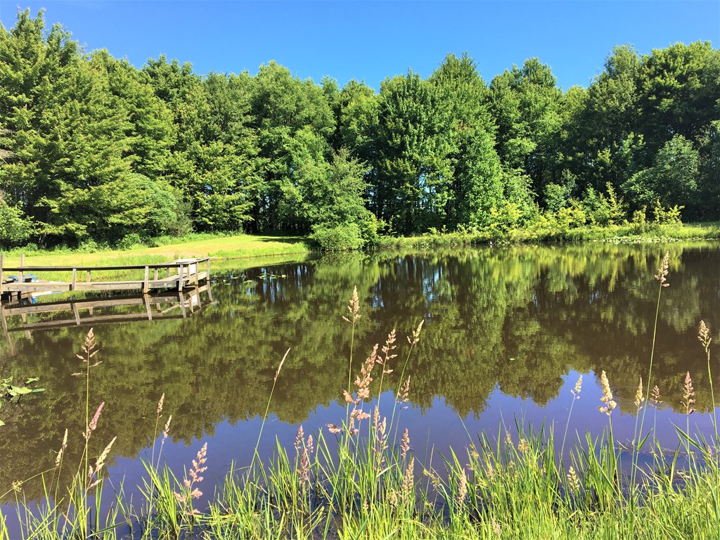 23273 Fry Road Venango, PA 16440 - Photo 74 of 74 a view of a lake with a yard