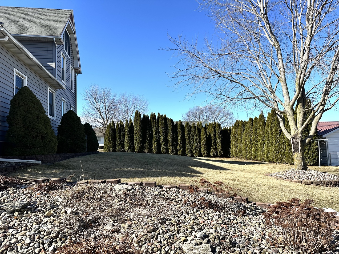 142 Elliot Street Preston, IA 52069 - Photo 8 of 45