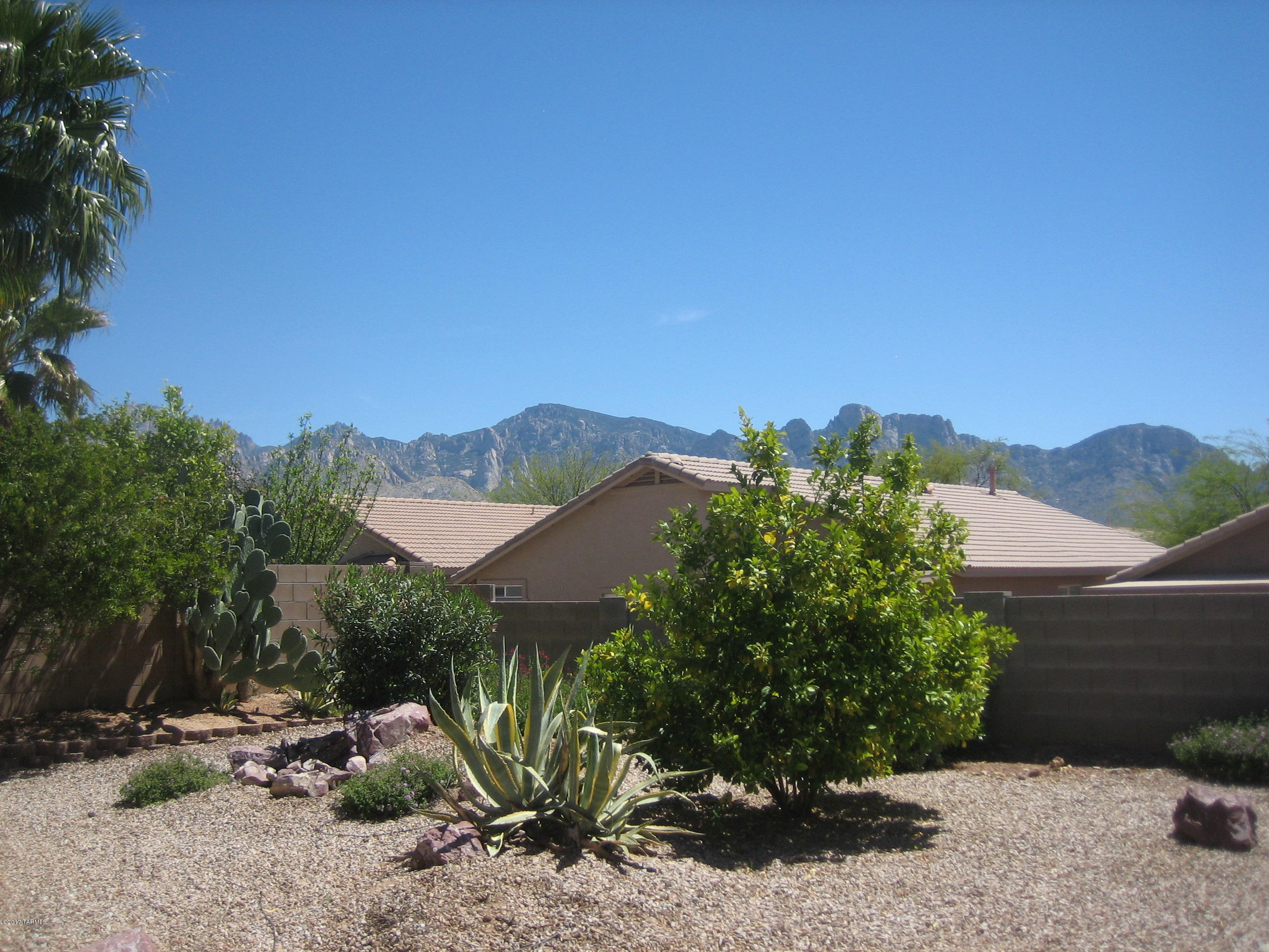 2160 East Rio Vistoso Lane Tucson, AZ 85755 - Photo 4 of 16