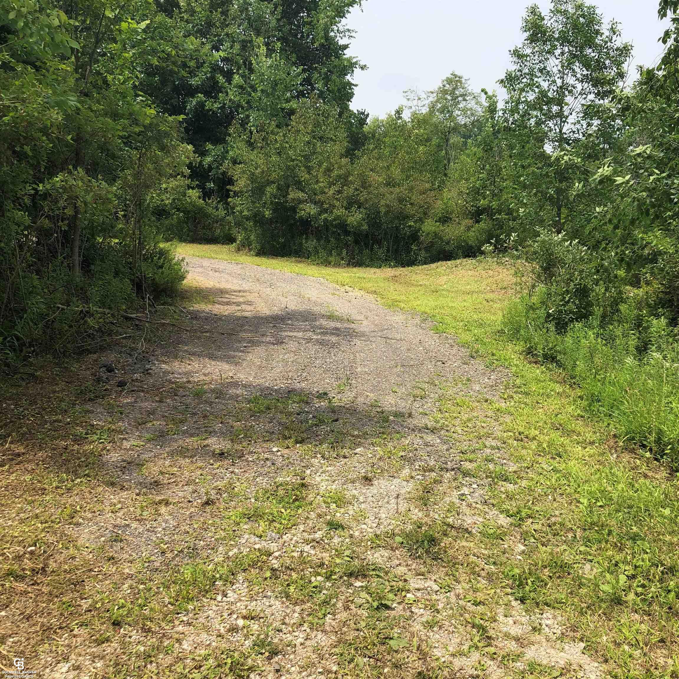 0 Cribbins Road Croswell, MI 48422 - Photo 3 of 38