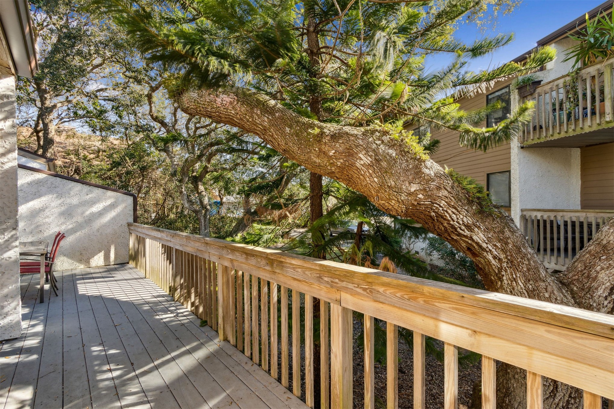 2893 Forest Ridge Drive, Unit V3 Fernandina Beach, FL 32034 - Photo 8 of 27 2893 Forest Ridge - Private Deck 2