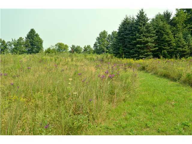 5104 Liberty Road Delaware, OH 43015 - Photo 3 of 9 Gallery Image 3