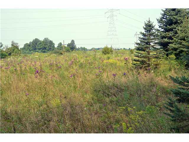 5104 Liberty Road Delaware, OH 43015 - Photo 7 of 9 Gallery Image 7