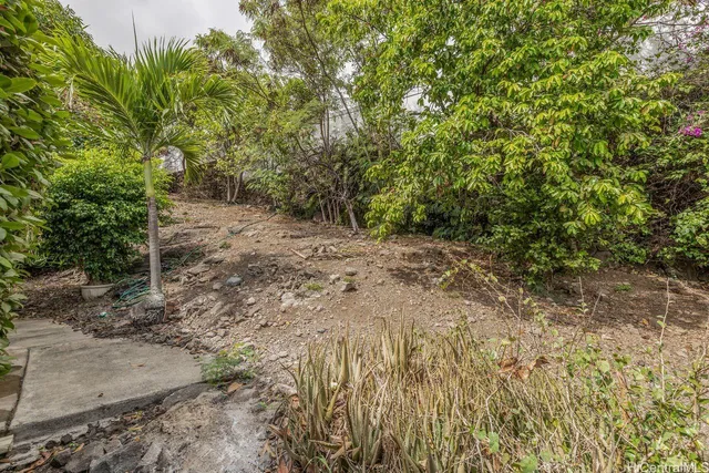 a view of a yard with large trees