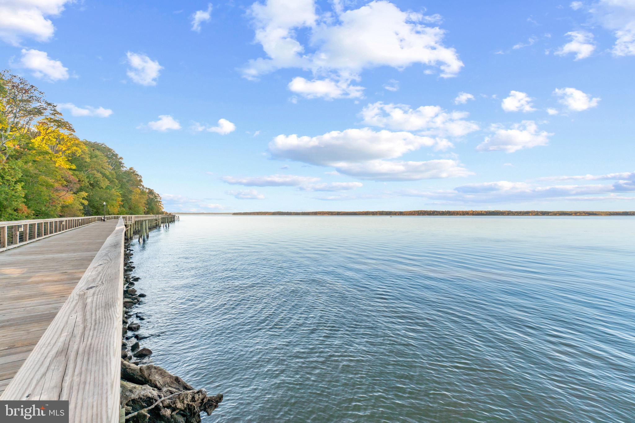 10 Rivers Edge Terrace Indian Head, MD 20640 - Photo 52 of 57 Gallery Image 52
