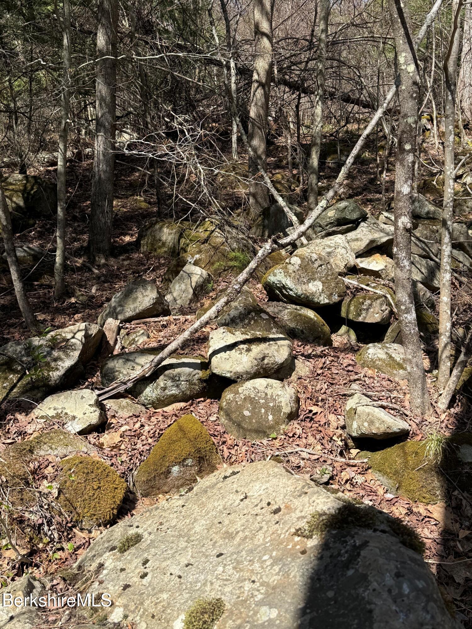Lot 8 Captain Whitney Road Becket, MA 01223 - Photo 3 of 4 Kelly1