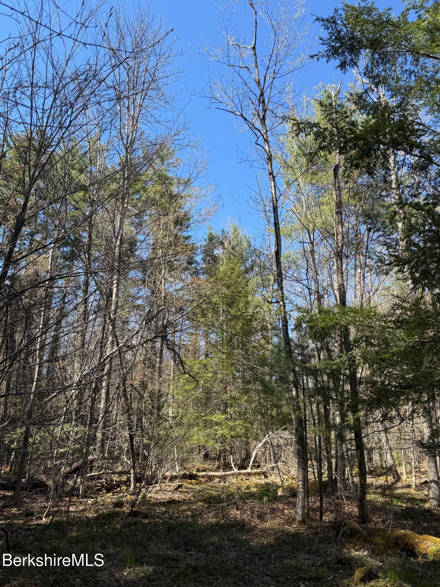 Lot 8 Captain Whitney Road Becket, MA 01223 - Photo 4 of 4 Kelly2