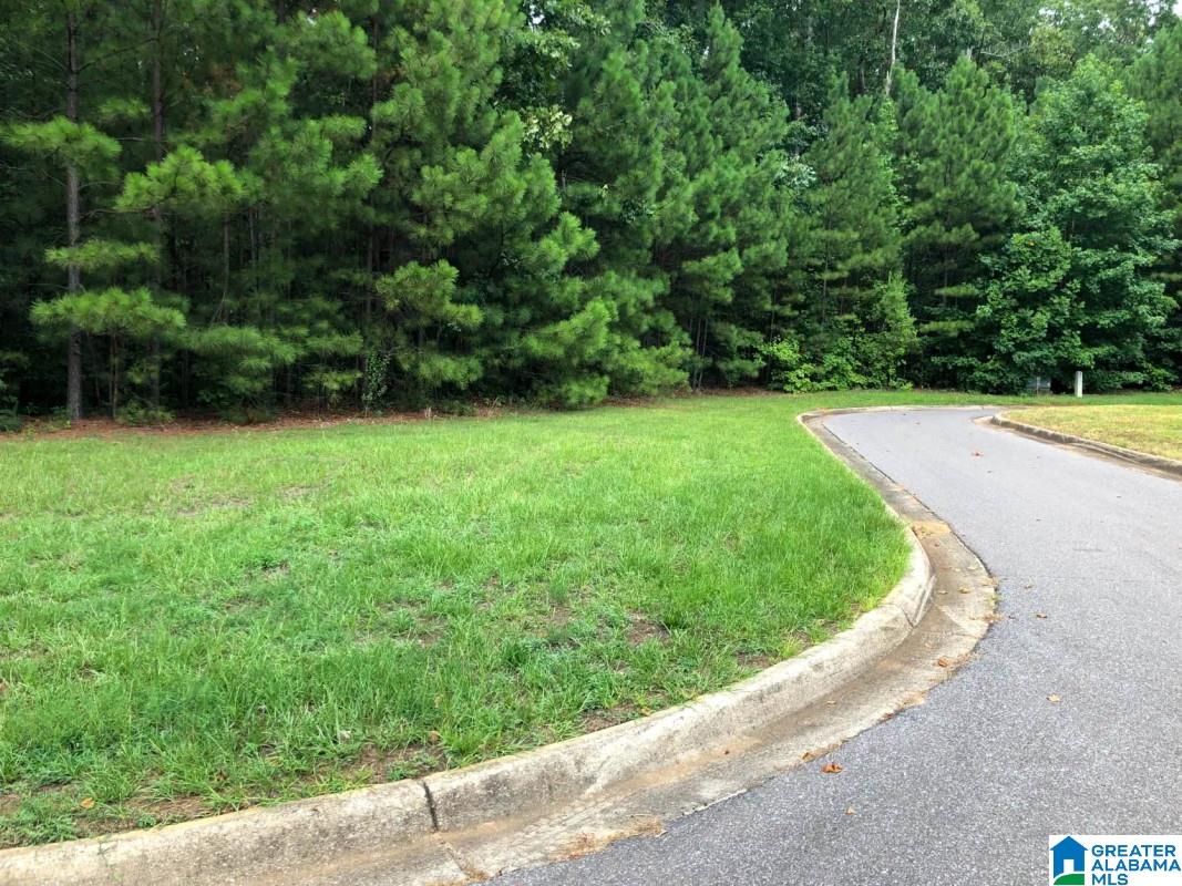 1091 Stagg Run Trail Pelham, AL 35124 - Photo 2 of 6