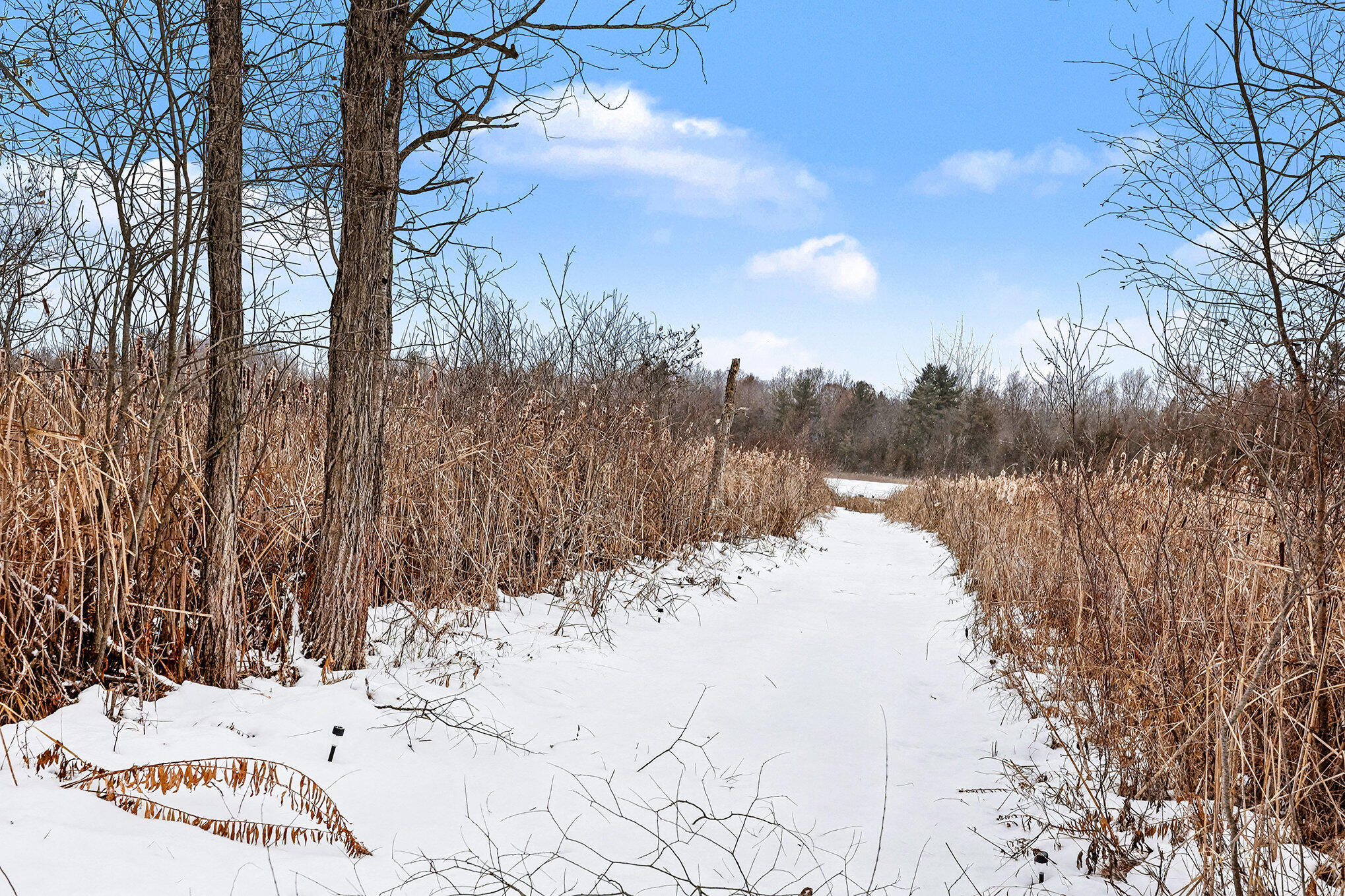 4337 Holland Lake Road Sheridan, MI 48884 - Photo 15 of 21 018_file_108