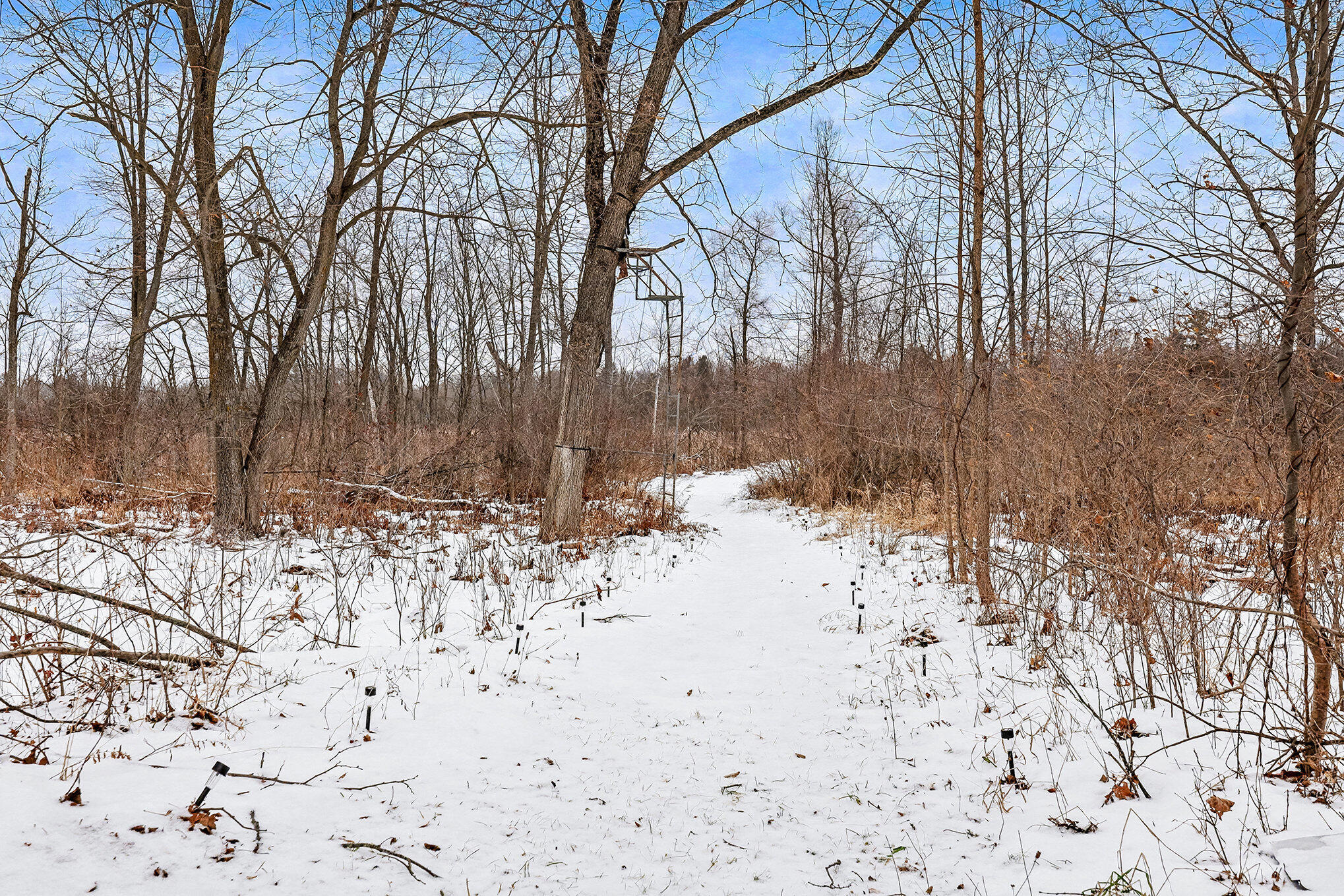 4337 Holland Lake Road Sheridan, MI 48884 - Photo 17 of 21 017_file_527