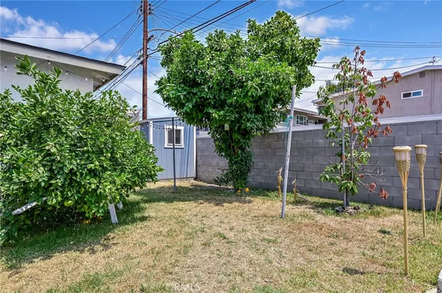 a plant is in front of a house