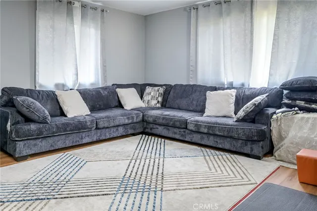 a living room with a couch and a rug
