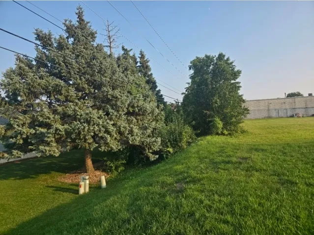 a view of a garden with an outdoor space
