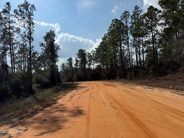 $11,500 | 0 Mayflower Drive, Marianna, FL 32448