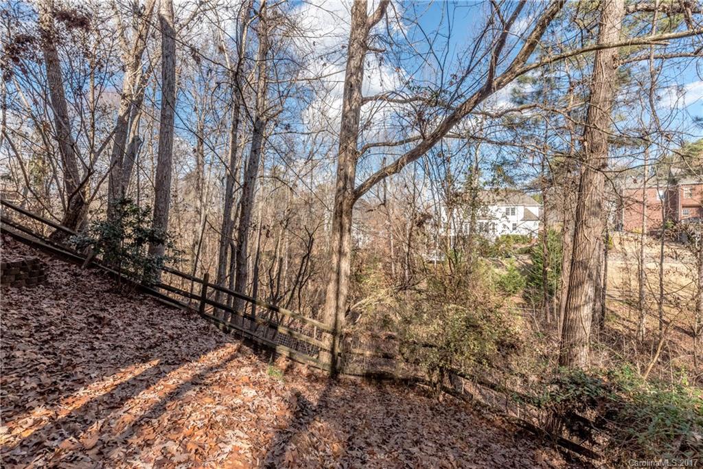 11083 Deep Cove Drive Tega Cay, SC 29708 - Photo 22 of 24
