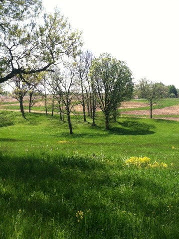 0 Razorville Road Byron, IL 61061 - Photo 1 of 5 a view of a grassy field with trees