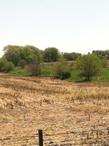 0 Razorville Road Byron, IL 61061 - Photo 3 of 5 a view of a lake view