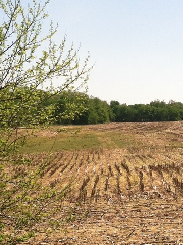 0 Razorville Road Byron, IL 61061 - Photo 4 of 5 a view of a lake view