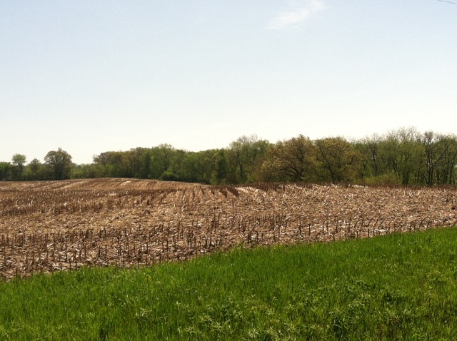 0 Razorville Road Byron, IL 61061 - Photo 5 of 5
