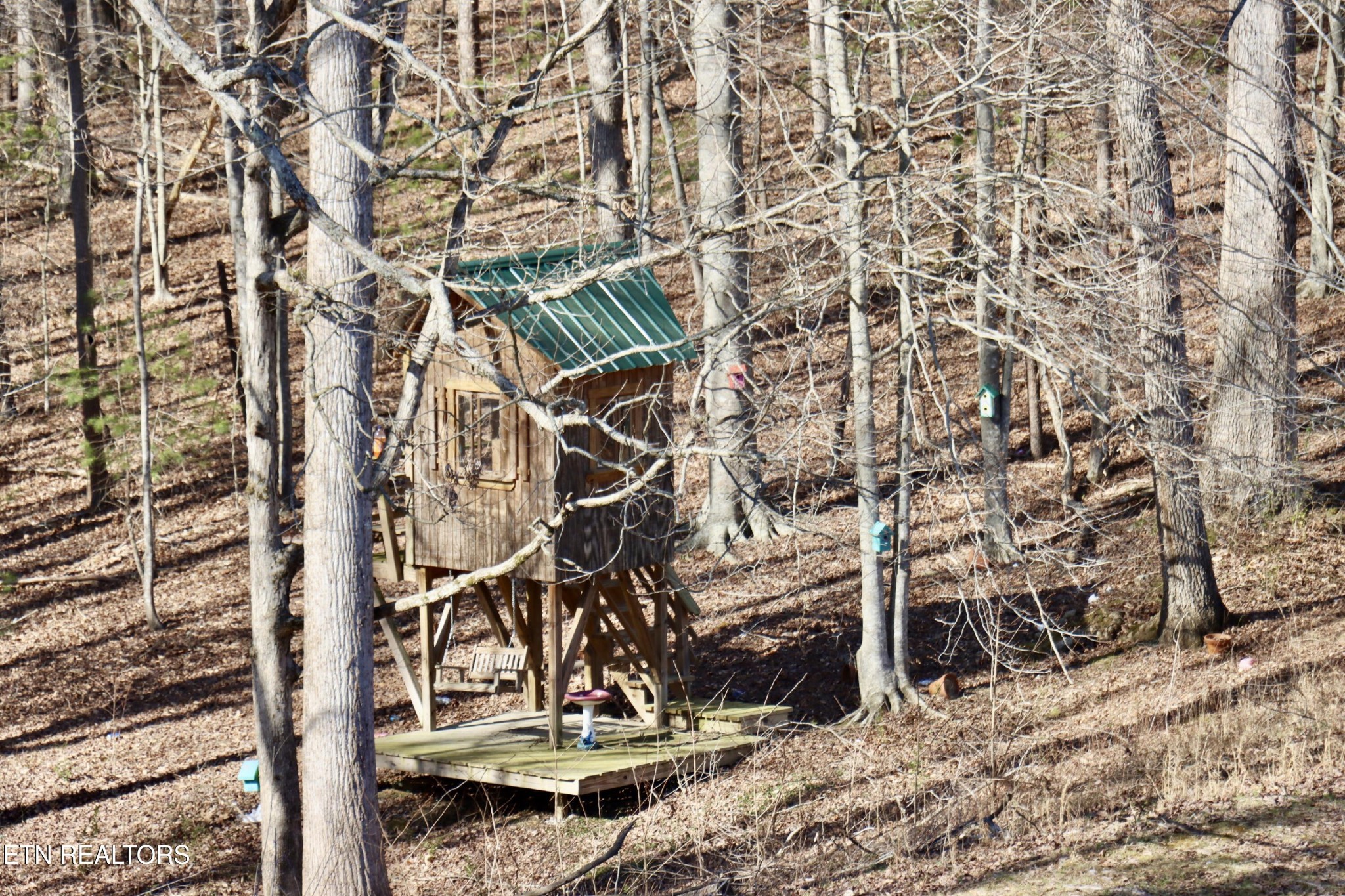 185 Ccc Road Wartburg, TN 37887 - Photo 17 of 52 Gallery Image 17