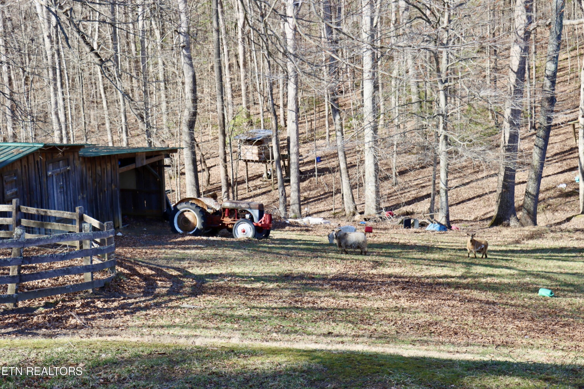 185 Ccc Road Wartburg, TN 37887 - Photo 18 of 52 Gallery Image 18