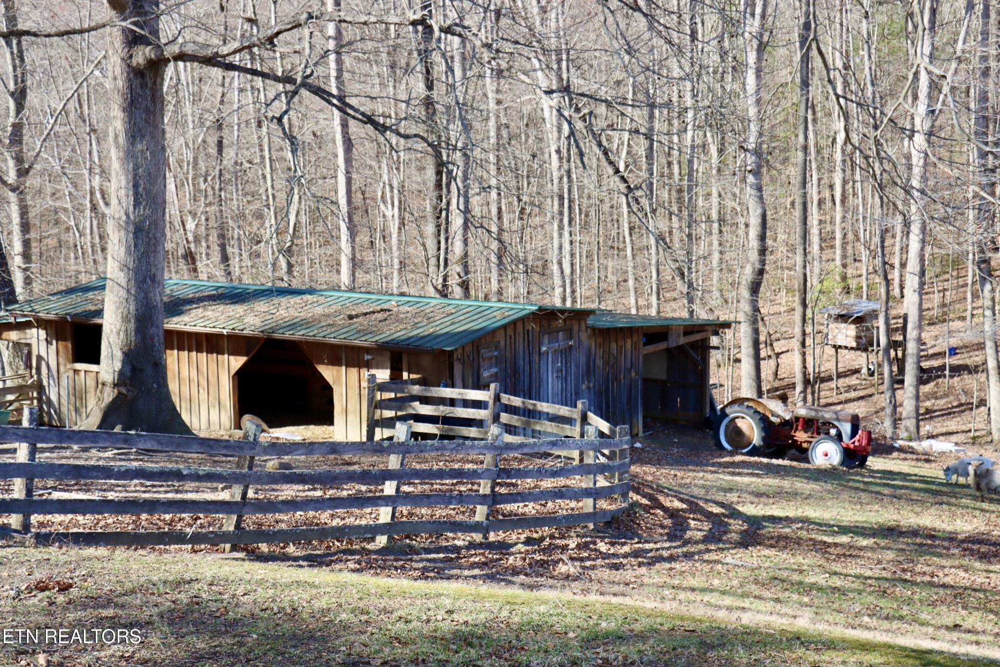 185 Ccc Road Wartburg, TN 37887 - Photo 19 of 52 Gallery Image 19