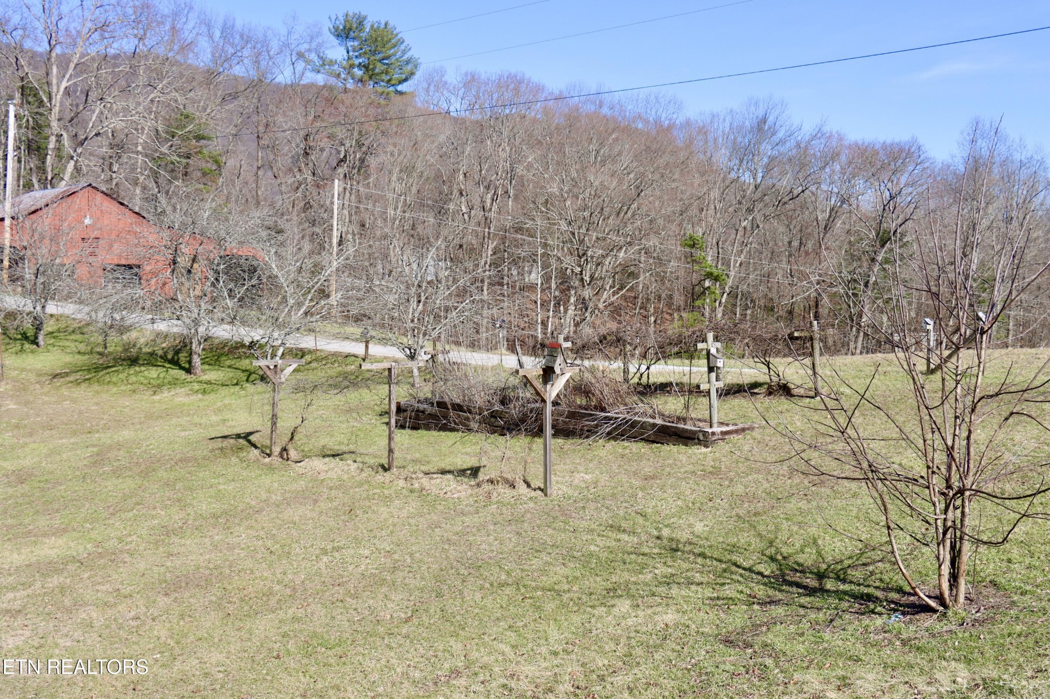185 Ccc Road Wartburg, TN 37887 - Photo 25 of 52 Gallery Image 25