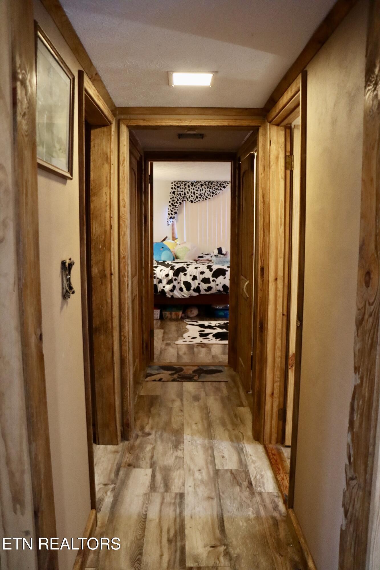 185 Ccc Road Wartburg, TN 37887 - Photo 7 of 52 Gallery Image 7