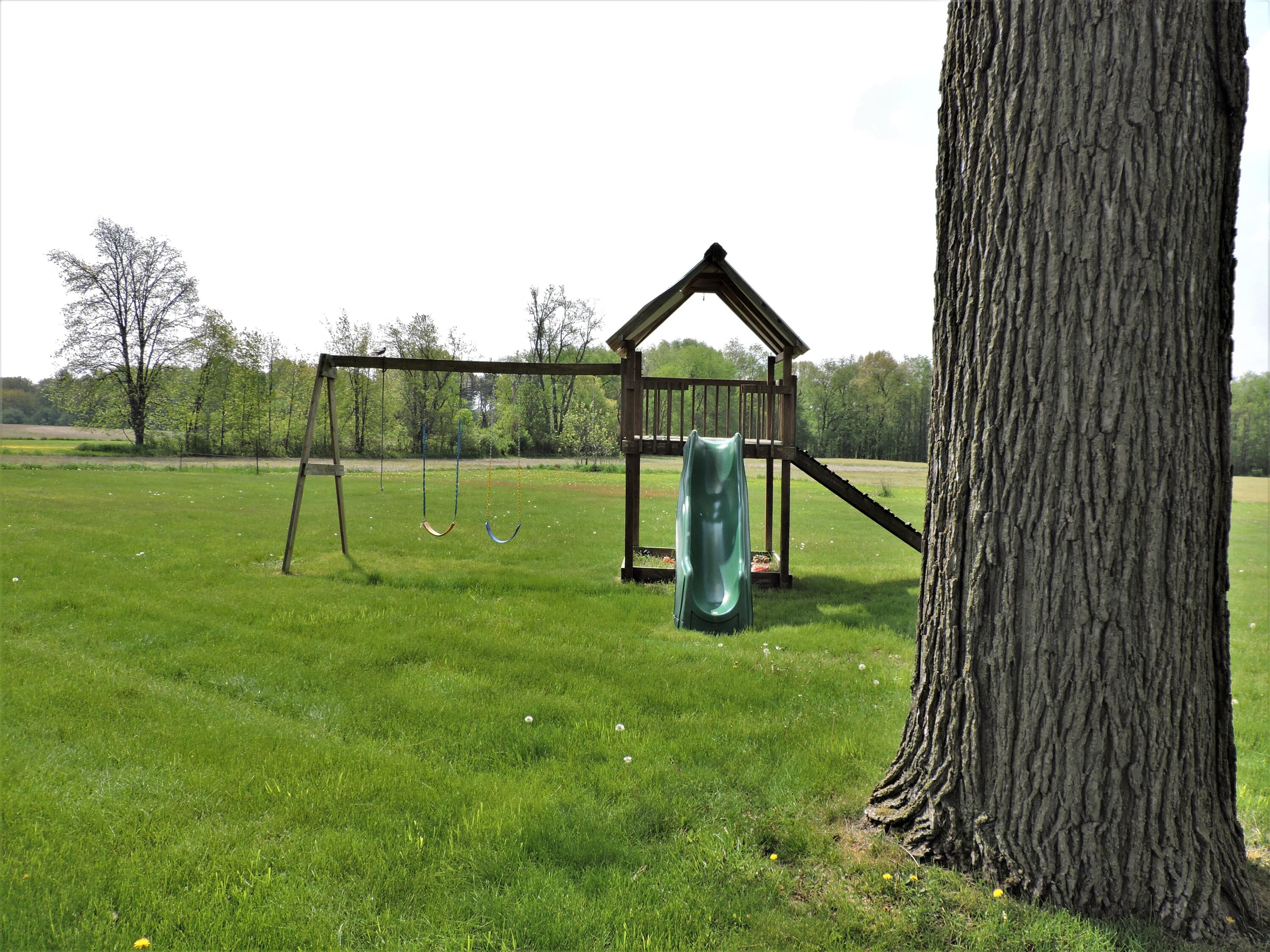 13360 Belding Road Belding, MI 48809 - Photo 29 of 32 DSCN8839