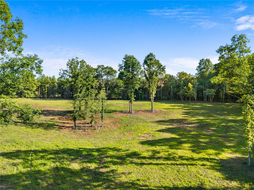 75 Hidden Acres Trail Pelzer, SC 29669 - Photo 22 of 32
