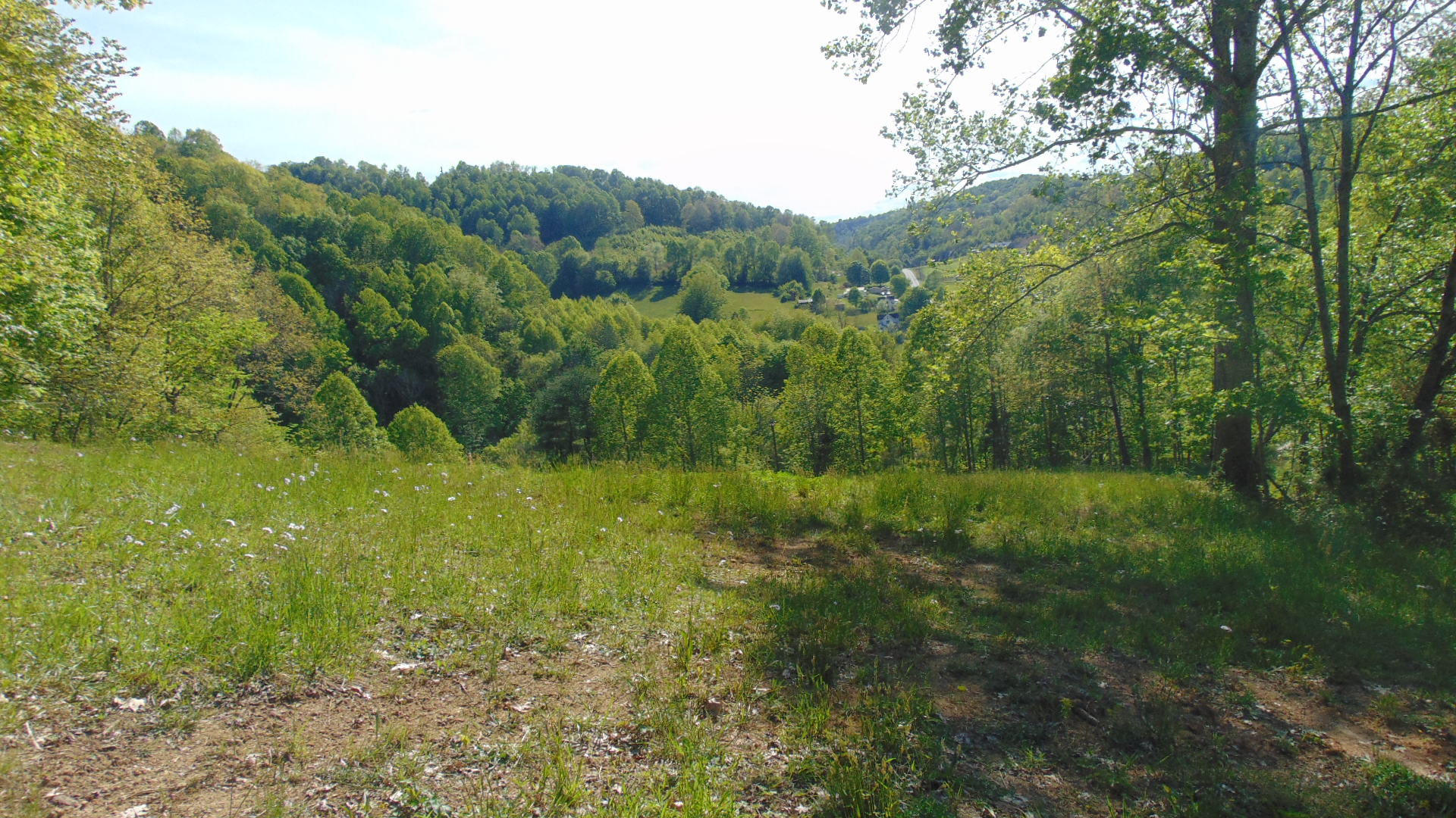 17520 Rich Valley Road Abingdon, VA 24210 - Photo 16 of 30 17520 richvalley land5