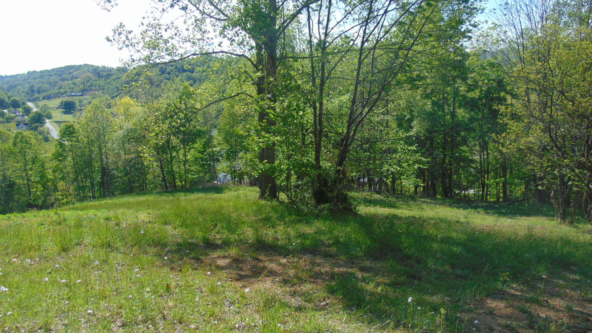 17520 Rich Valley Road Abingdon, VA 24210 - Photo 17 of 30 17520 richvalley land6